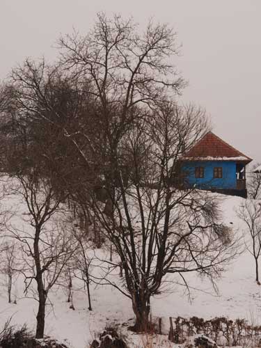 Foto casa mnerie (c) Petru Goja